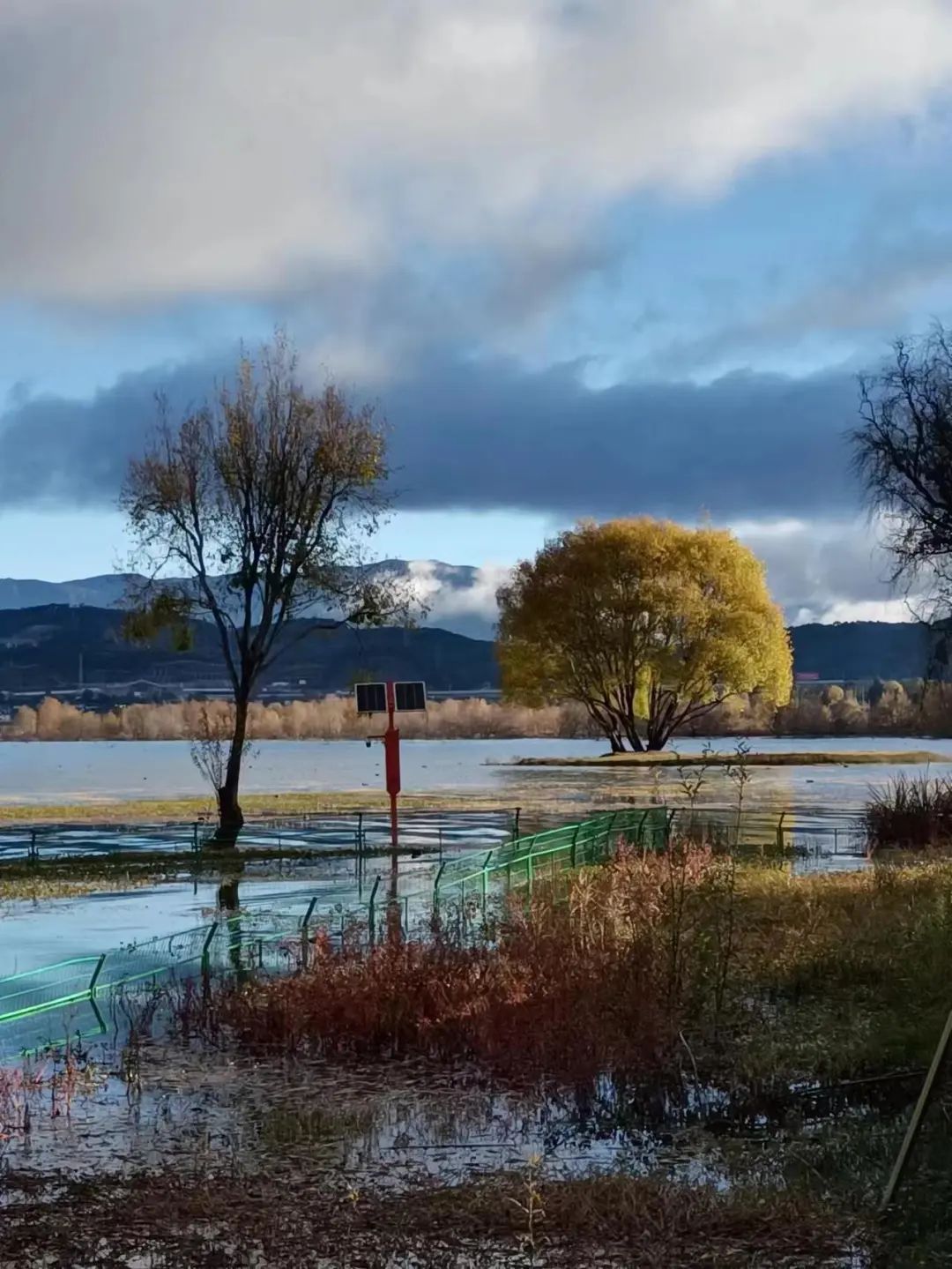 1704851028216743.jpg 640 (4).jpg