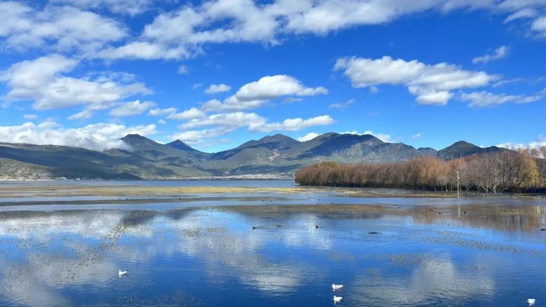 1704851128835021.jpg 640 (5).jpg