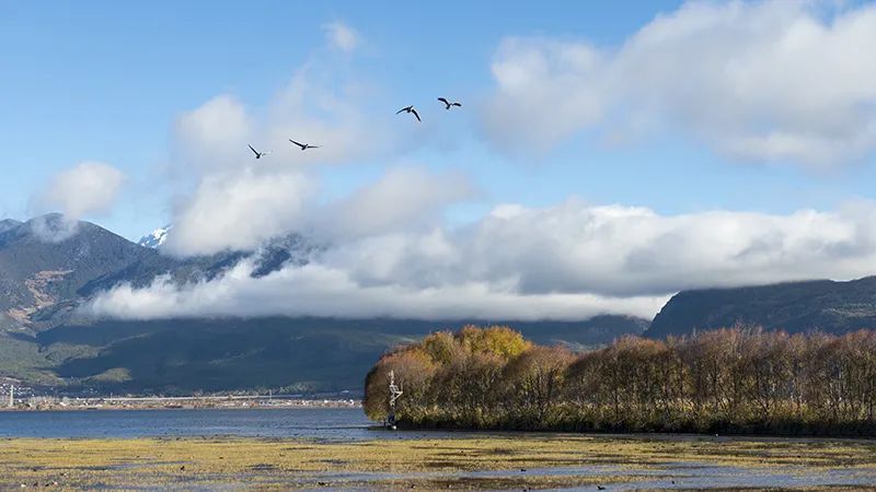 1704851314332988.jpg 1704851314332988.jpg