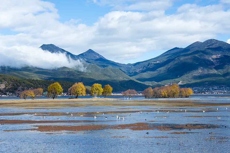 1704851381293291.jpg 1704851381293291.jpg