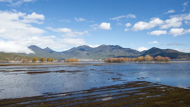 1704851422159997.jpg 1704851422159997.jpg