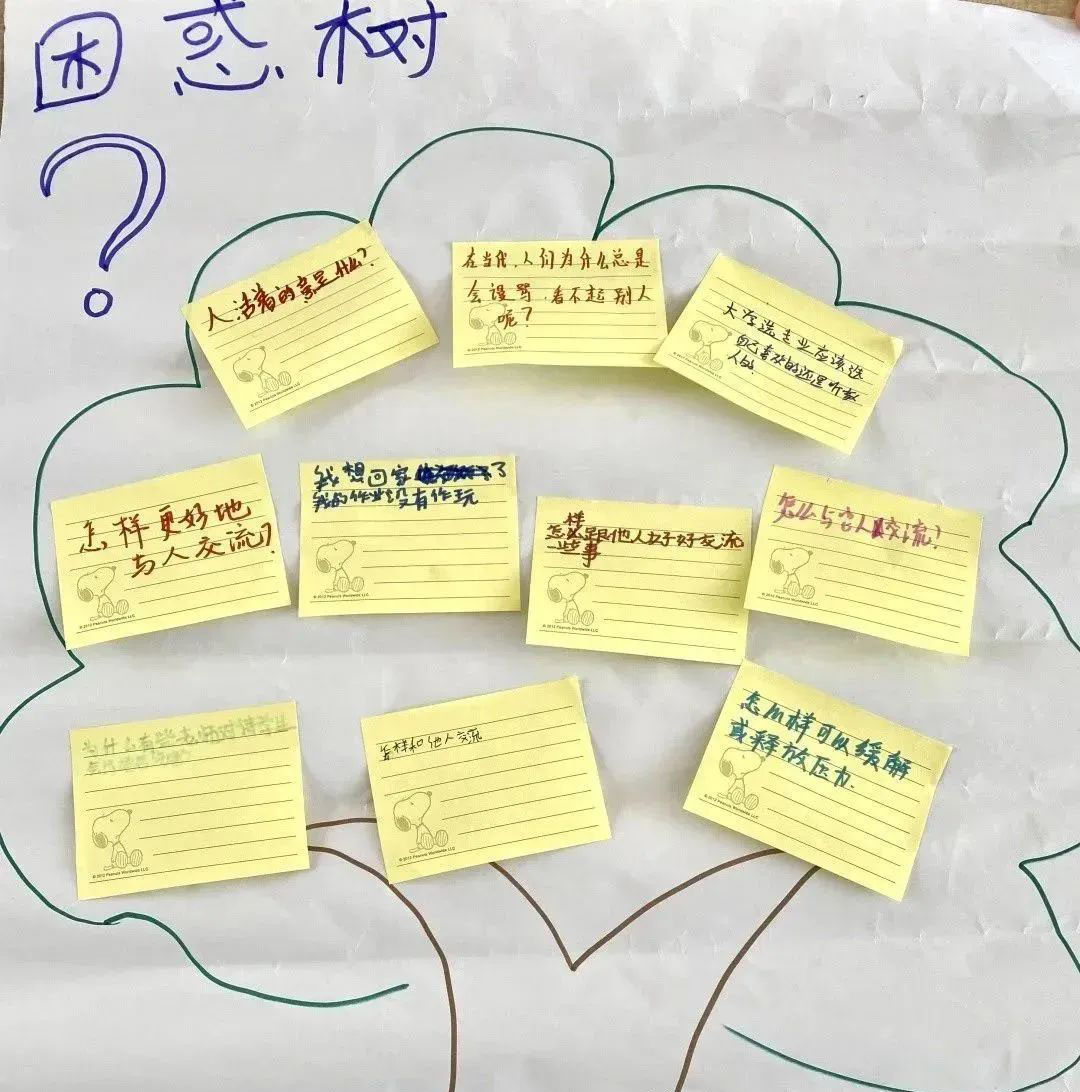 1705043178853387.jpg 640 (5).jpg