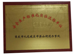 安全達(dá)標(biāo)證書