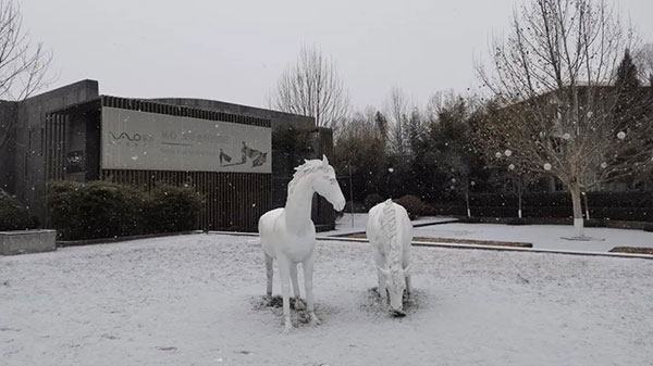 1697887772755301.jpg 微信图片_20231021192527.jpg