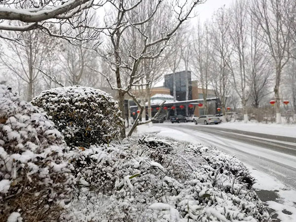 1697887782210072.jpg 微信图片_20231021192538.jpg