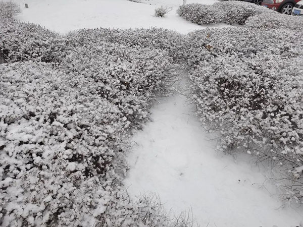 1697887799485175.jpg 微信图片_20231021192542.jpg