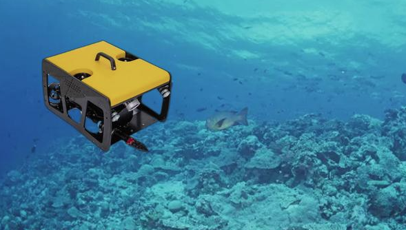 1705049308586377.png 640.png