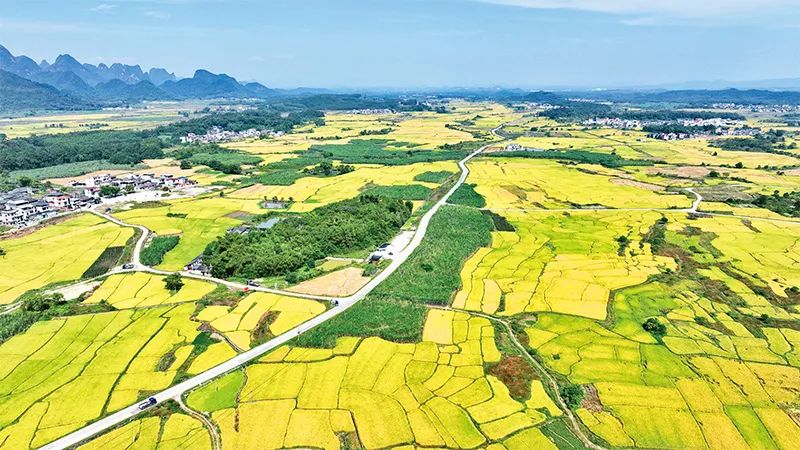 1705634266584881.jpg 微信图片_20240117164858.jpg