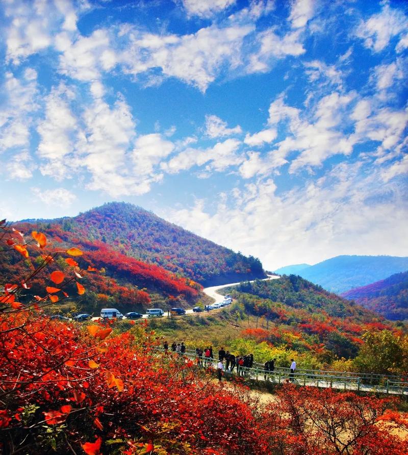 1762076676365505.jpg 桐柏紅葉5.jpg