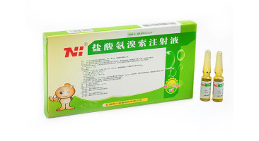 鹽酸氨溴索注射液