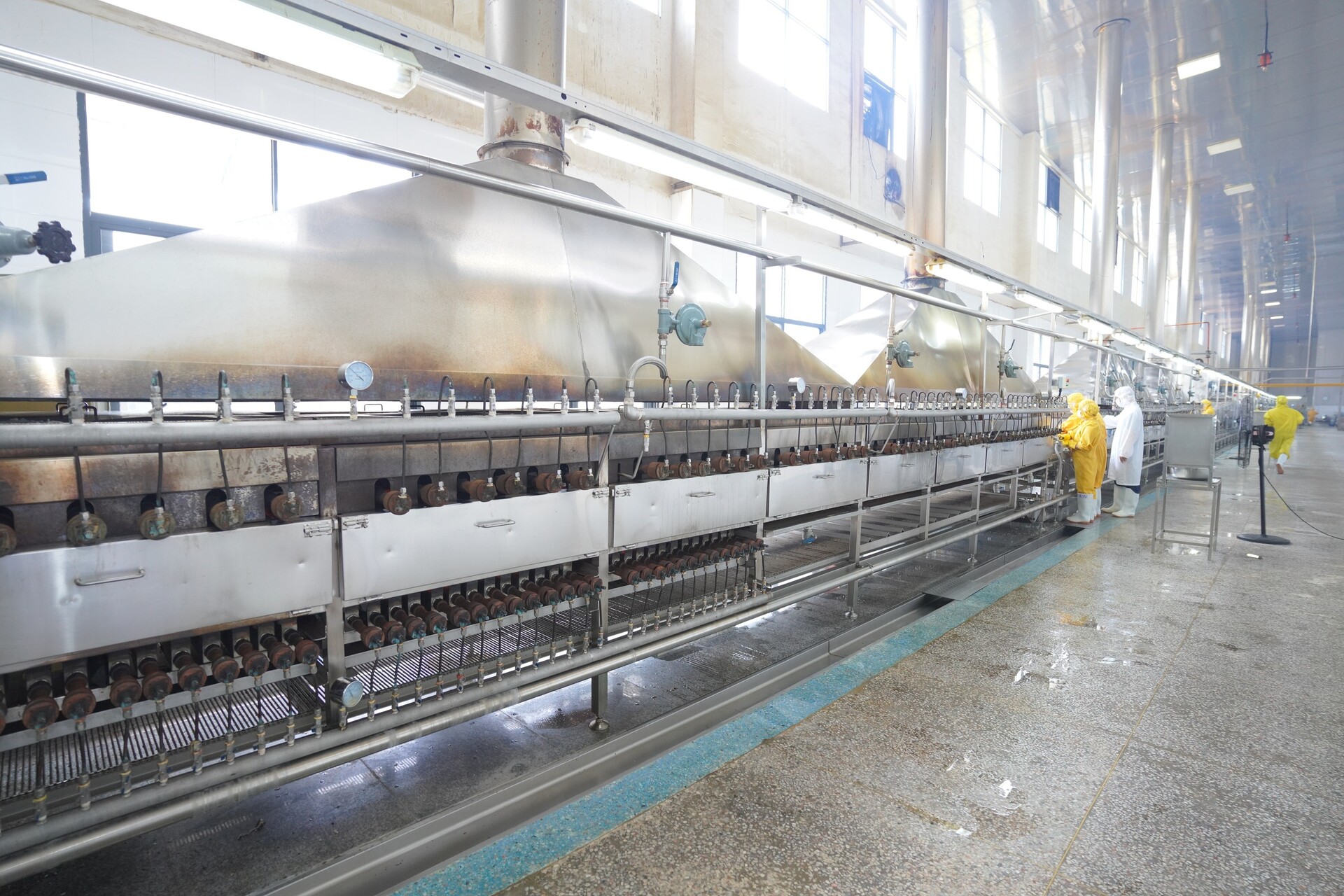 1764559101254152.jpg 1764559101254152.jpg