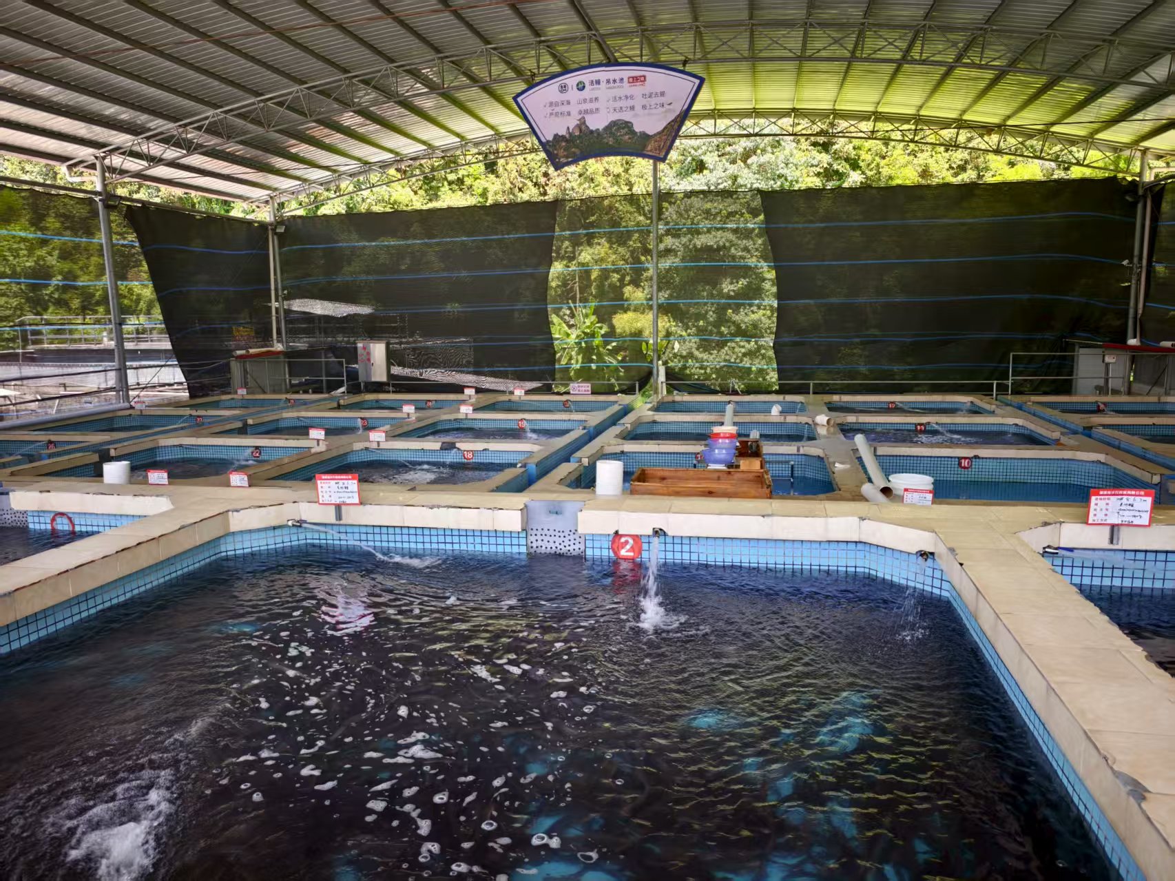 1764559103159960.jpg 1764559103159960.jpg