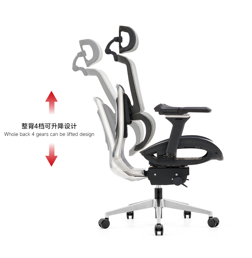 2410 (4).png