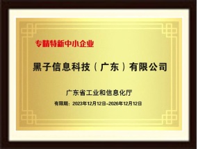 专精特新中小企业