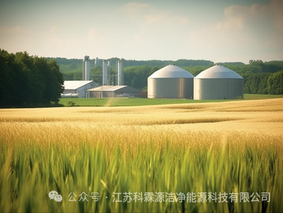 1705653164681795.png 《生物质能发电行业》1 (3).png