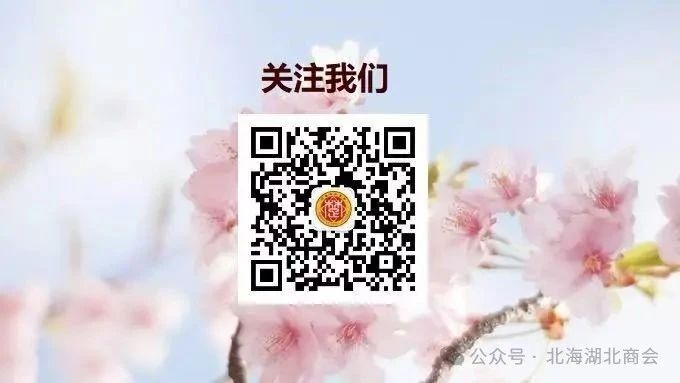 头部通栏图