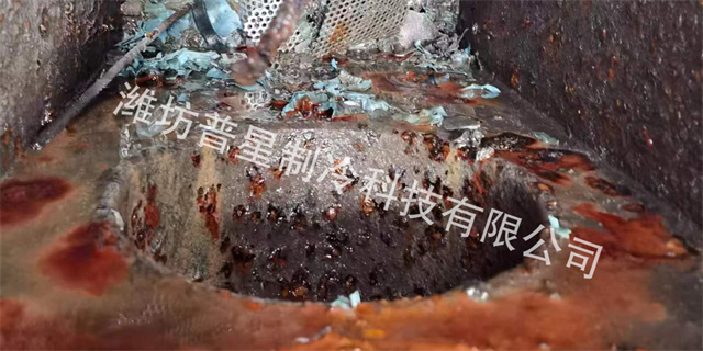 廯似ȵ