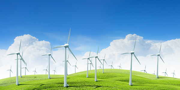 1699173915109066.jpg 5.jpg