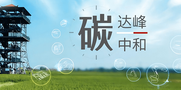 1699174211749351.jpg 1.jpg