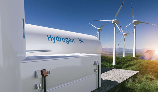 1699174460203950.jpg 6.jpg