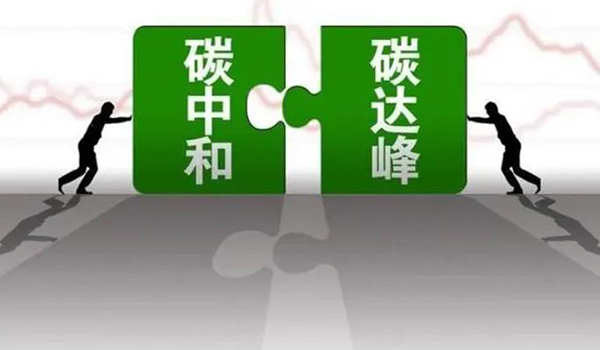 1699174513126725.jpg 2.jpg