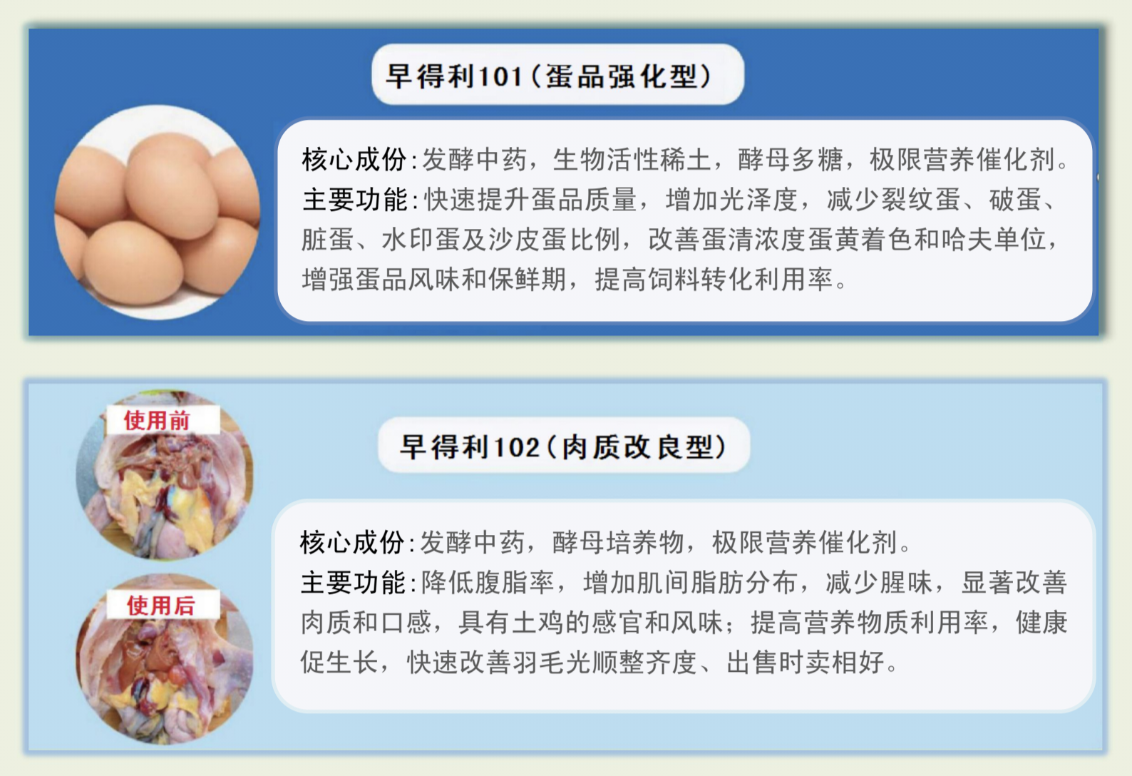 蛋雞肉雞全效升級-本草藍劍
