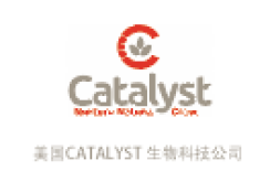 小米(MI)眼鏡男女款