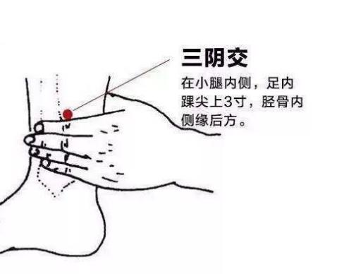 中醫 | 未病先防 既病防變