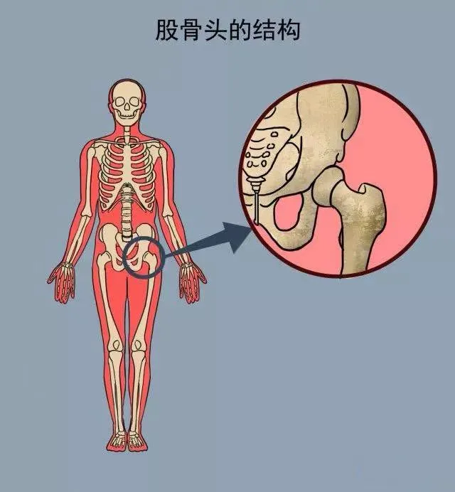警惕喝出來的188体育官方主页app官方！