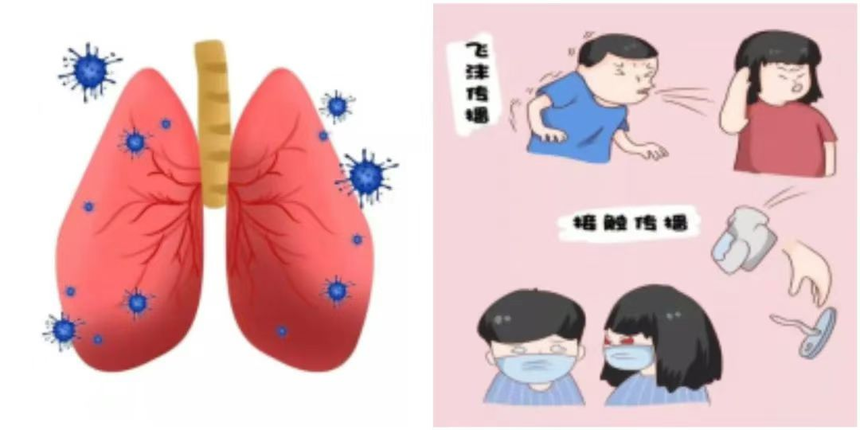 世界肺炎日——認識肺炎、預防肺炎、遠離肺炎