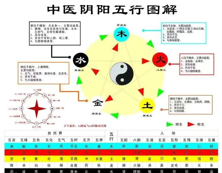 魅力中醫—中醫理論的三個(ge) 層次