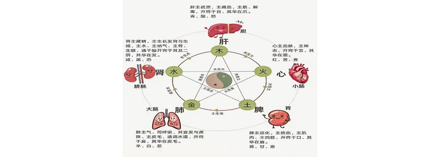 腰痛-中醫骨傷(shang) 科學骨病科普