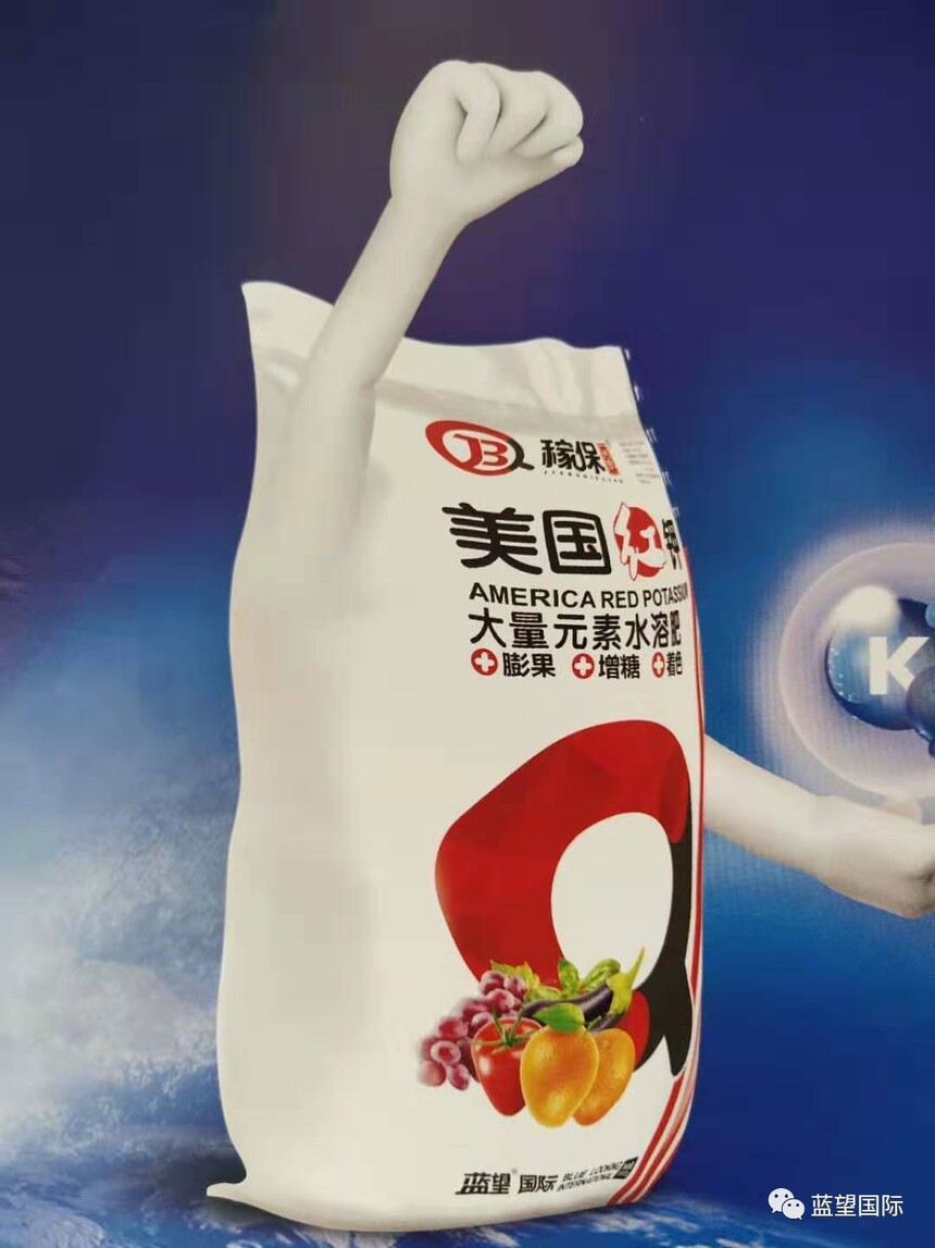 1596159263150079.jpg