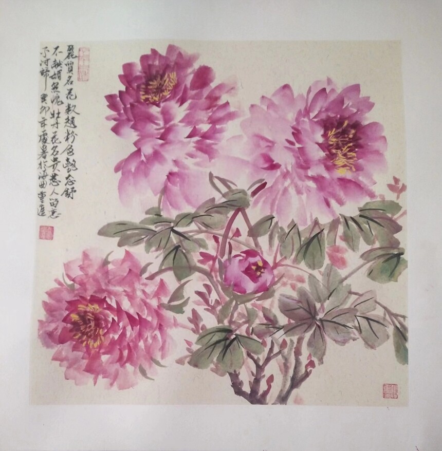 1d7e8d8b-c052-4448-a1c2-39238ef528df.jpg