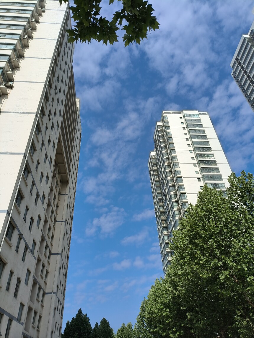 IMG_20240429_083520.jpg
