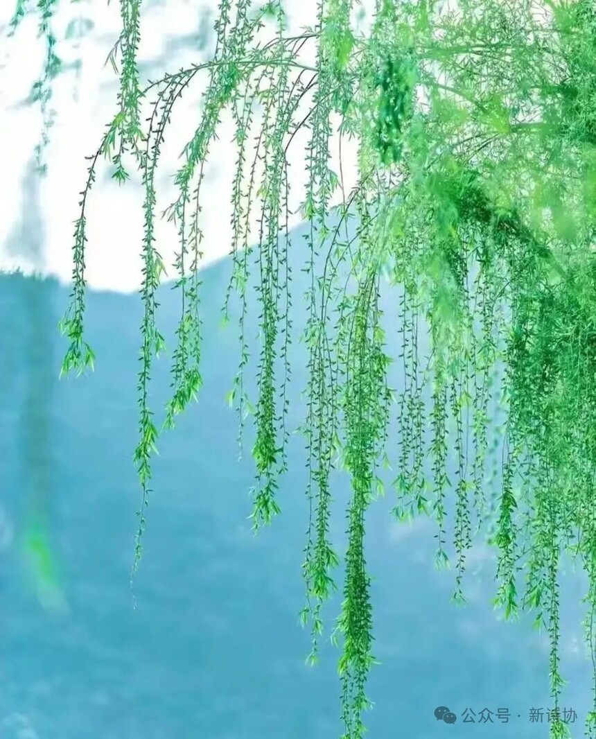 微信图片_20250320093244.jpg