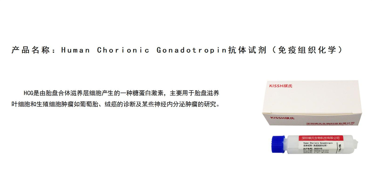 Human Chorionic GonadotropinԼ.jpg
