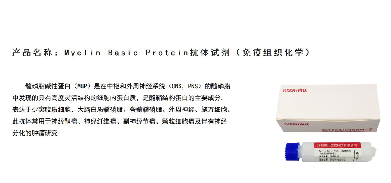 Myelin Basic ProteinԼ.jpg