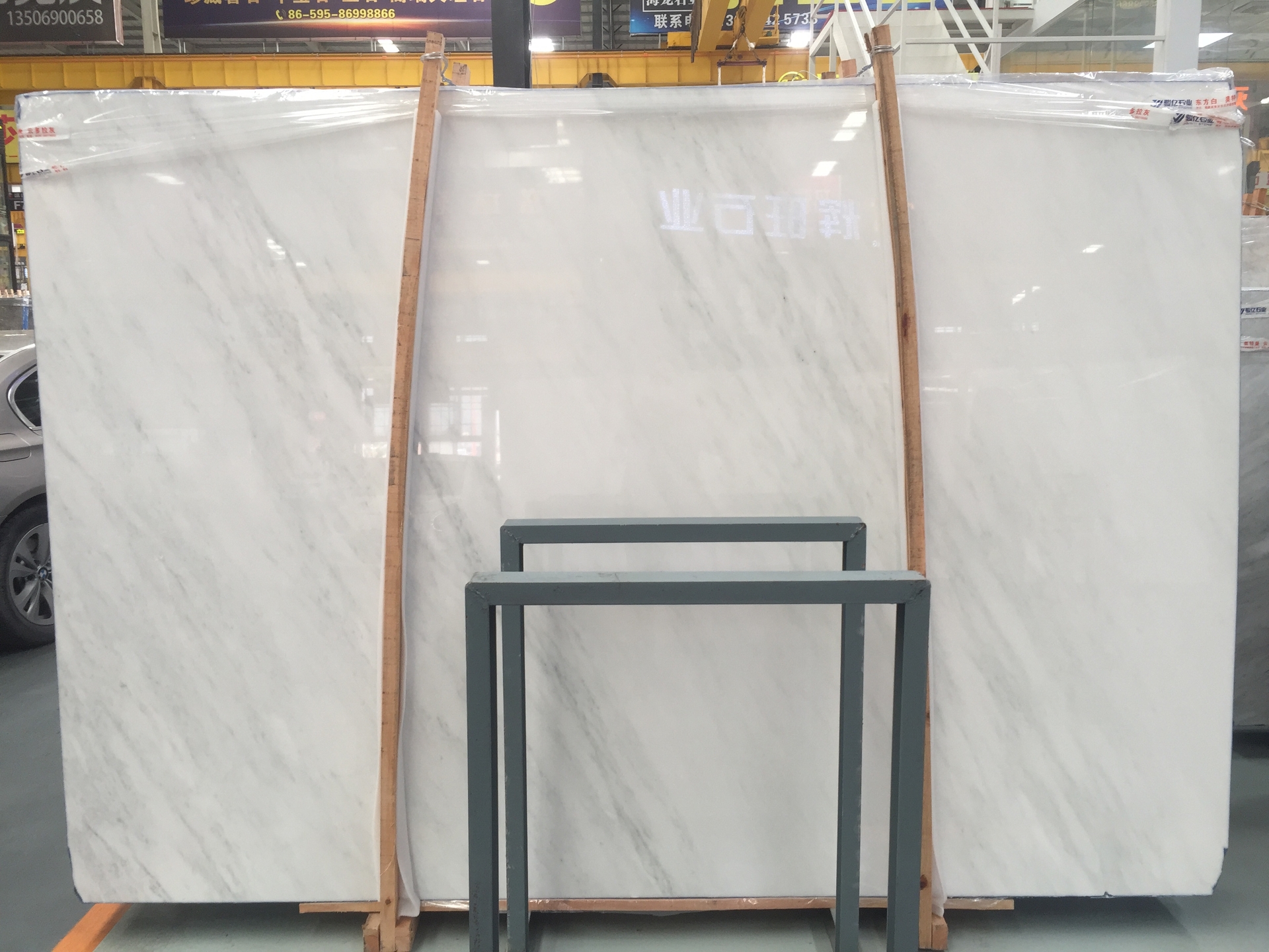 oriental white东方白