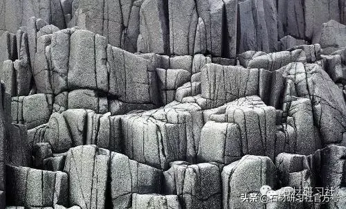 ɽҰļ۸
