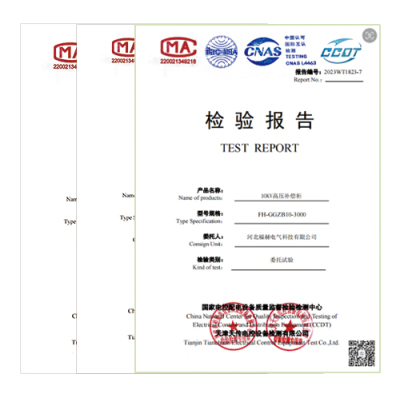 試驗(yàn)報(bào)告