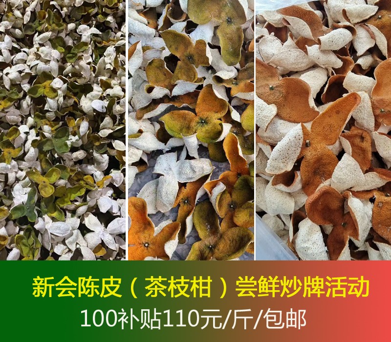 1741227481867543.jpg 新会陈皮茶枝柑尝鲜炒牌活动.jpg