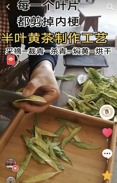 ��Ҷ�Ʋ���������.jpg