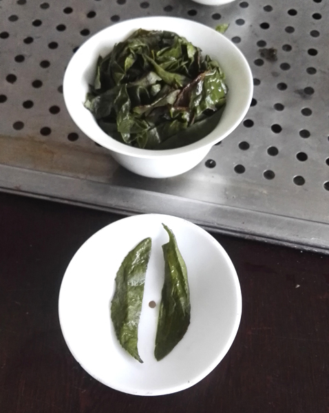 1761055954752335.jpg 半叶铁观音正品茶叶底11.jpg