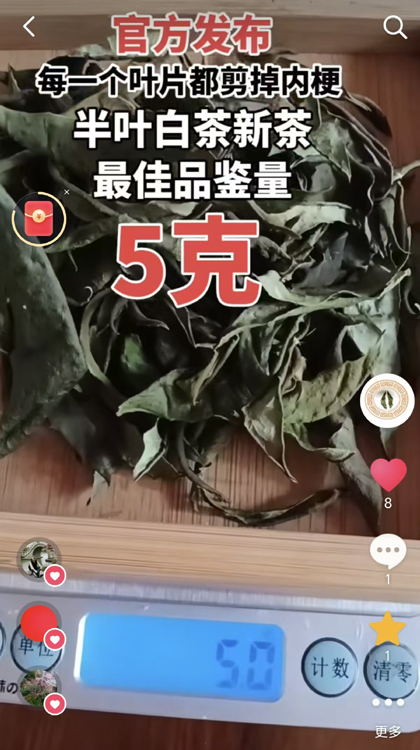 ��Ҷ�ײ��²����Ʒ����5��.jpg