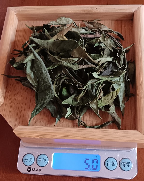 ��Ҷ�ײ��Ʒ��5��.jpg