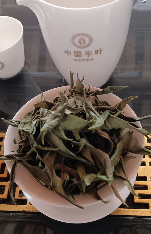 ��Ҷ�ײ�����.jpg