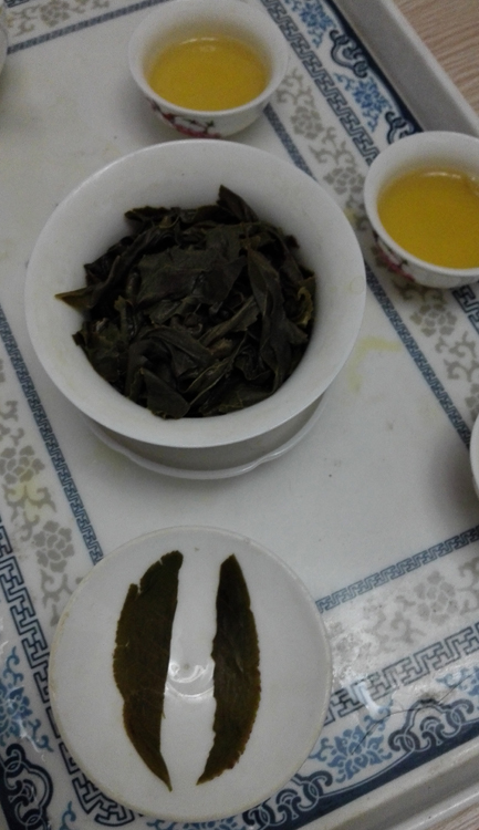 ��Ҷ�ڲ�Ҷ�׺Ͳ���-���Ϻڲ裨�ն��裩.jpg
