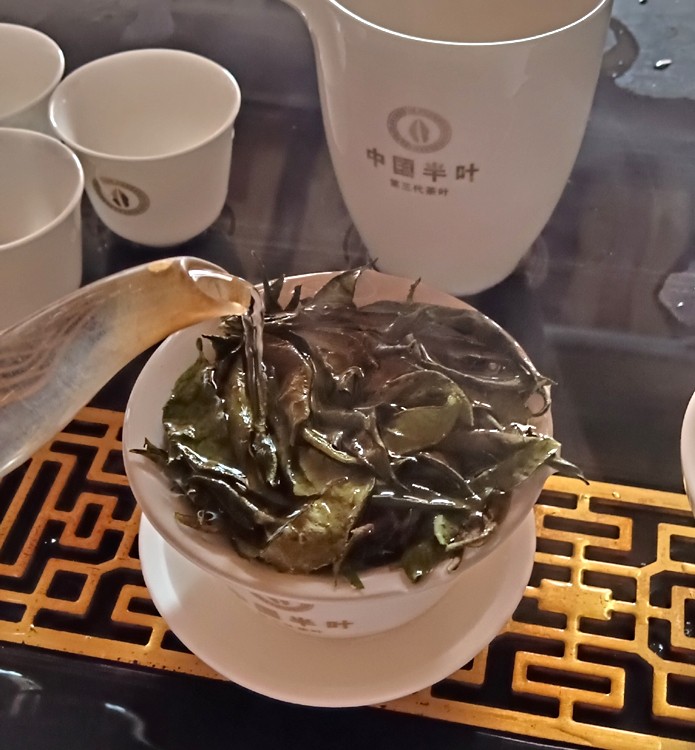 ��Ҷ�ײ����.jpg