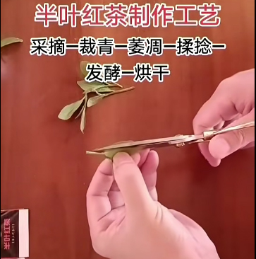 1766032031822877.jpg 红剪剪掉内梗.jpg